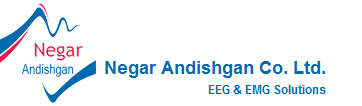 Negar Andishgan Co. Ltd.